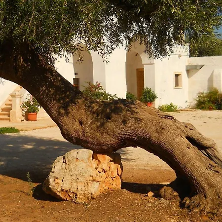 Masseria De Michele-2